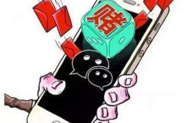 临清为什么选择专业追讨公司来处理您的债务纠纷？