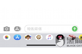 临清临清的要账公司在催收过程中的策略和技巧有哪些？